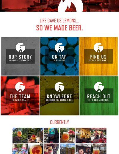 Web Development for Crisis Brewing